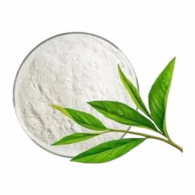 High-Quality-Green-Tea-Camellia-Sinensis-Leaf-Extract-Polyphenol-95-0-Catechin-70-0-Powde High-Quality-Green-Tea-Camellia-Sinensis-Leaf-Extract-Polyphenol-95-0-Catechin-70-0-Powde