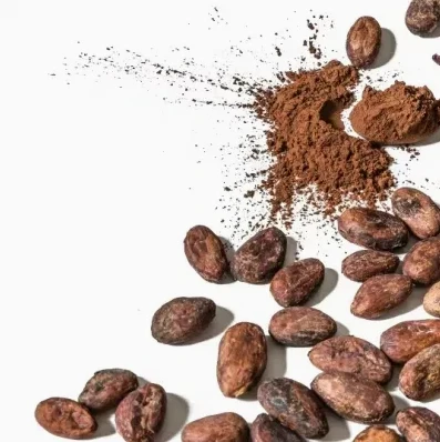 Food Grade Bulk Price Alkalized Cocoa Powder