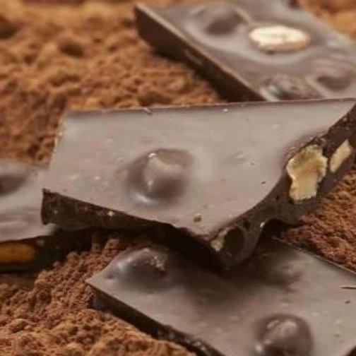 High Quality Food Grade Cocoa Butter Substitute CBS best