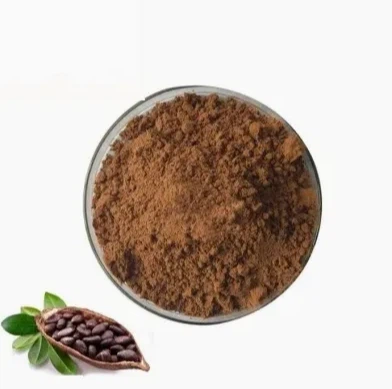 Hot Selling Factory Price Food Grade High Quality Cocoa Powder Alkalized For Food Ingredients