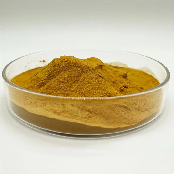 Premium Hydrolyzed Soy Protein Isolate For Enhanced Nutrition suppliers